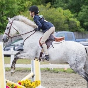 Meet your Posher, Elizaveta